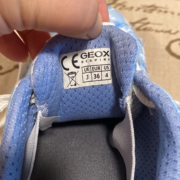 Geox - Picture 13 of 14